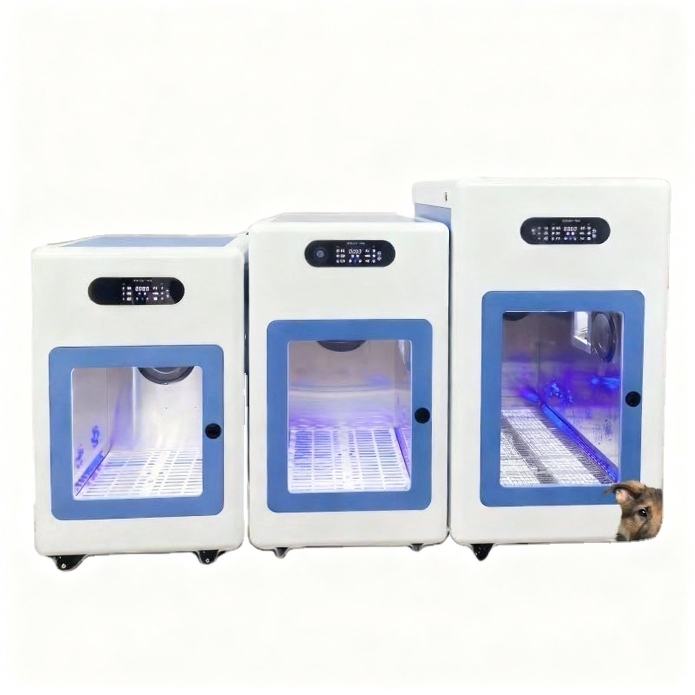 Smart Ozone Pet Bathing & Drying Machine